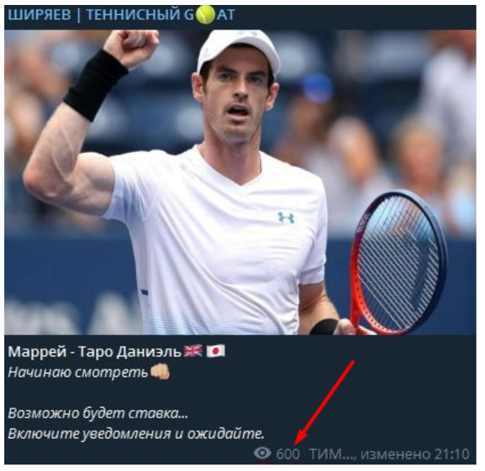 Тим Ширяев ставки