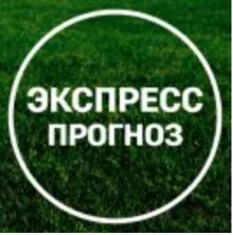 Экспресс прогноз / Илья Макеев