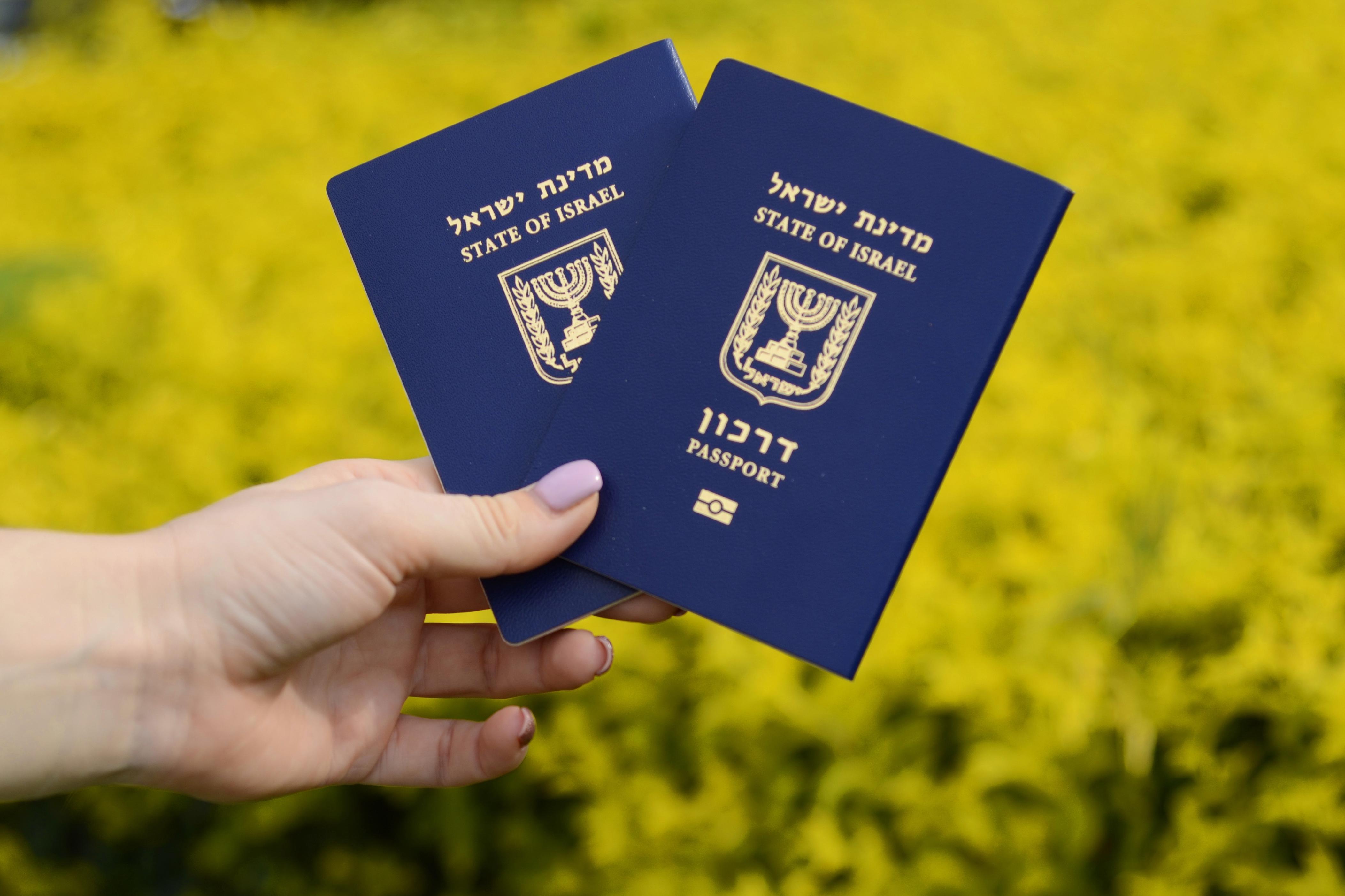 Отказ от гражданства Израиля: детальная инструкция по процедуре, документам, стоимост