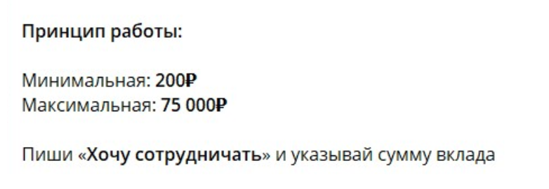 Цены платных услуг у Басова Мани