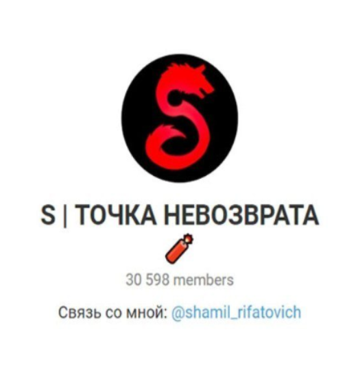 Деятельность Телеграмм-канала S Точка Невозврата