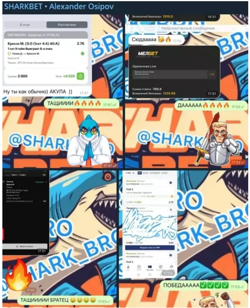 Отзывы о Телеграмм Shark Bet