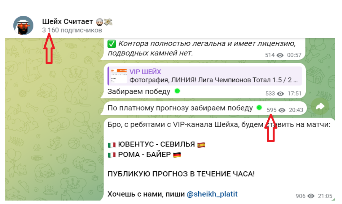 Шейх считает телеграм